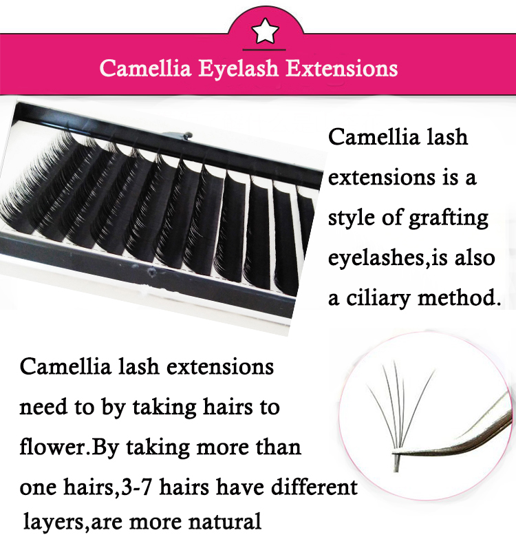 camellia eyelash extensions wholesale.jpg